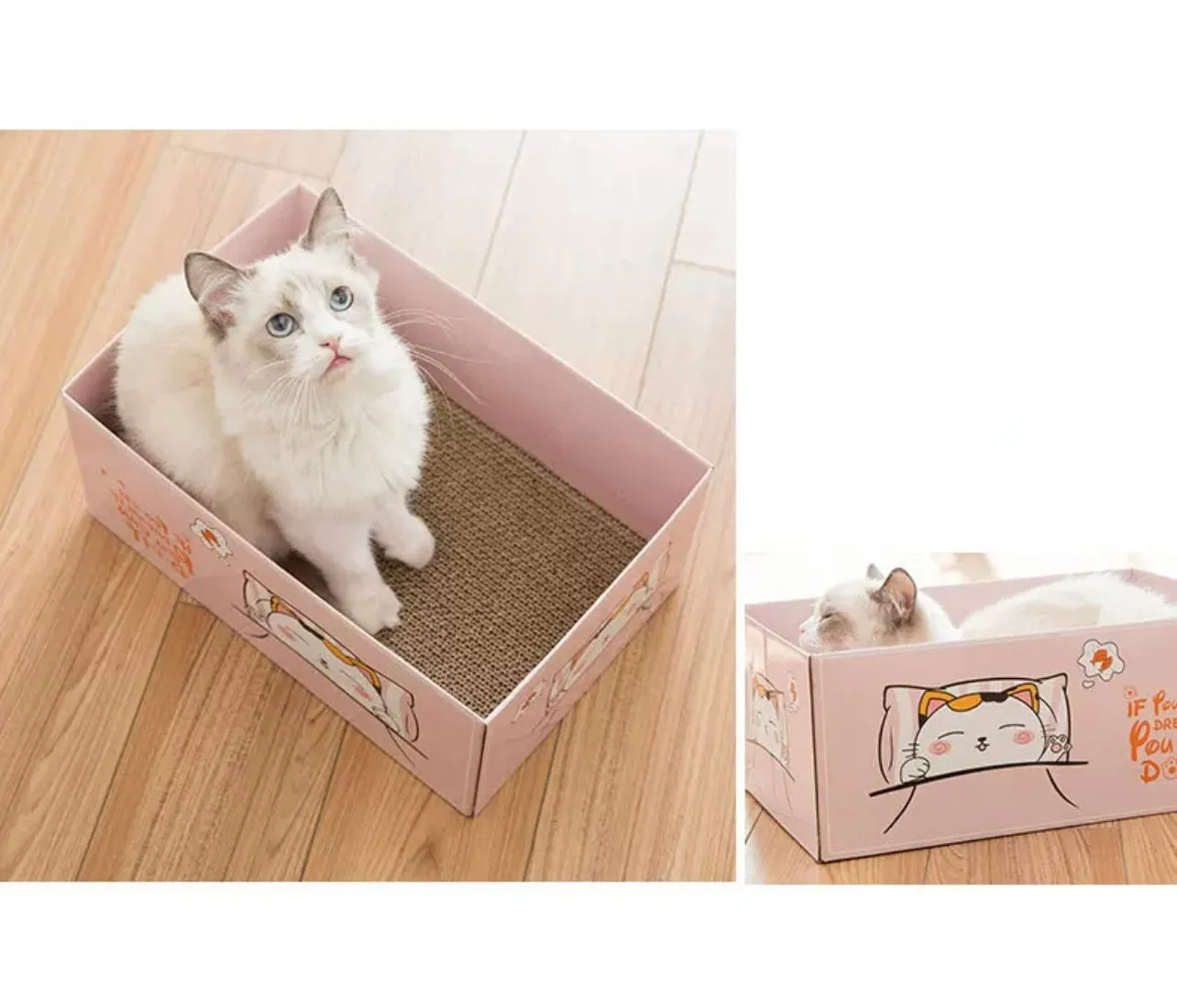 Cat Scratchers - Cardboard with Cartoon Box