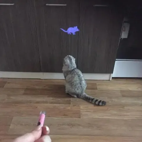 Cat Toy Laser Pointer