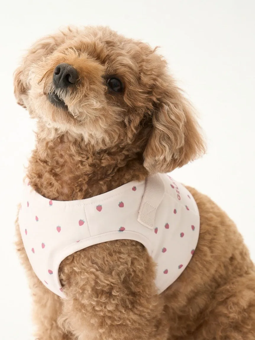 CAT&DOG Strawberry & Ice cream Motif Pet Harness