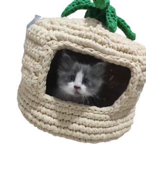 Crochet Cat Bed
