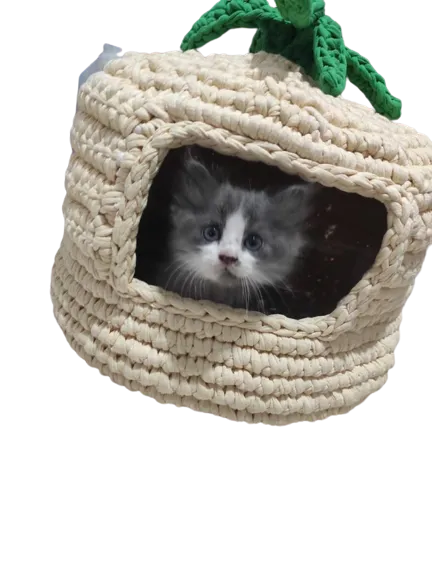 Crochet Cat Bed