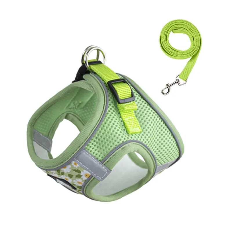 DIVA Pet - Cute Floral Harness and Leash Set