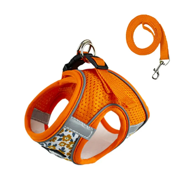 DIVA Pet - Cute Floral Harness and Leash Set