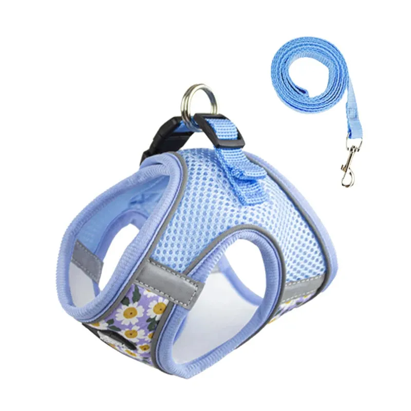 DIVA Pet - Cute Floral Harness and Leash Set