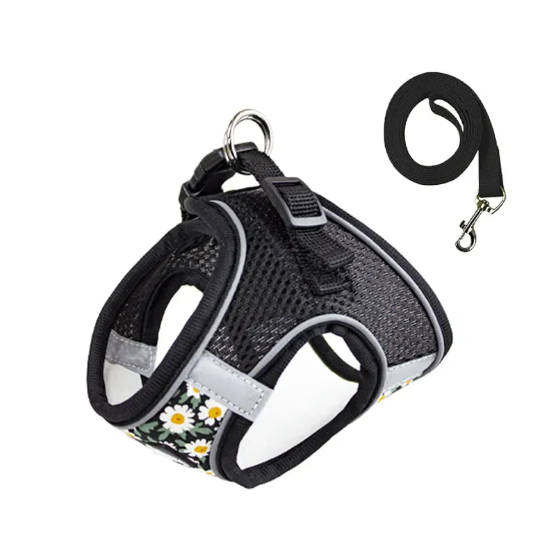 DIVA Pet - Cute Floral Harness and Leash Set