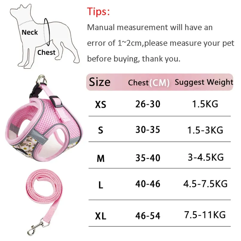 DIVA Pet - Cute Floral Harness and Leash Set