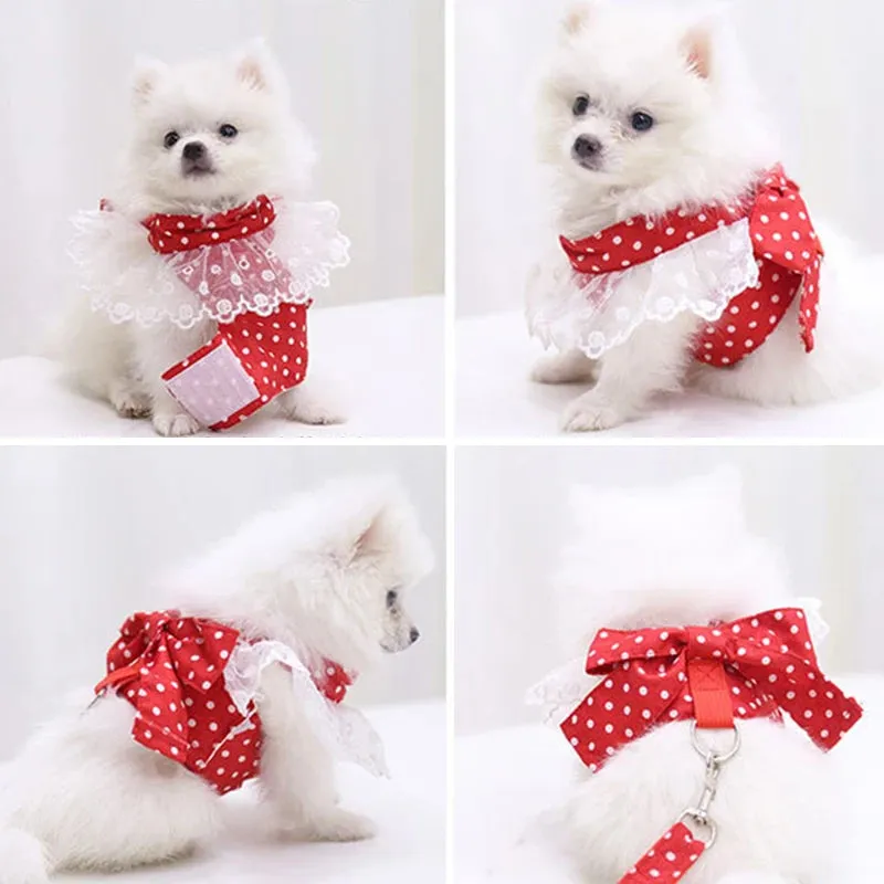 DIVA Pet -  Fun Print Bow Harness And Leash Set
