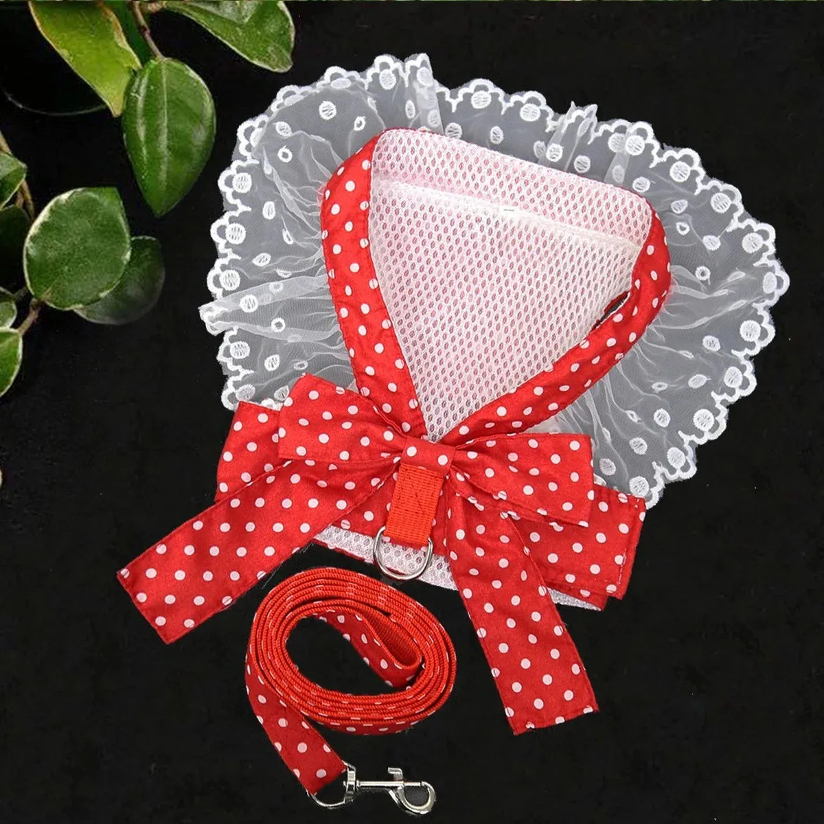 DIVA Pet -  Fun Print Bow Harness And Leash Set
