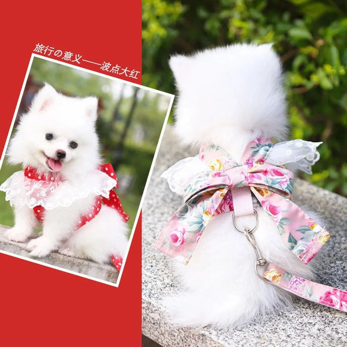 DIVA Pet -  Fun Print Bow Harness And Leash Set