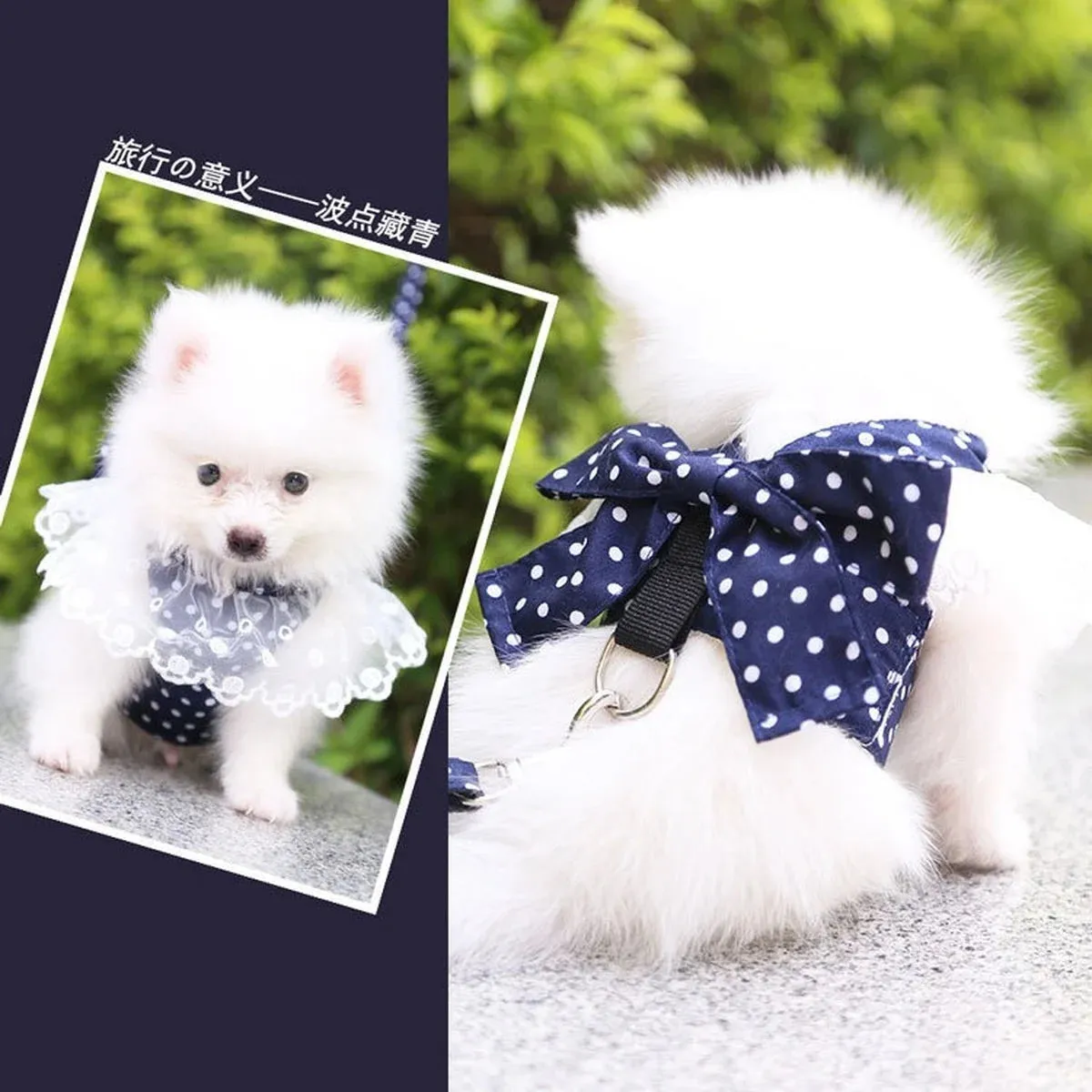 DIVA Pet -  Fun Print Bow Harness And Leash Set