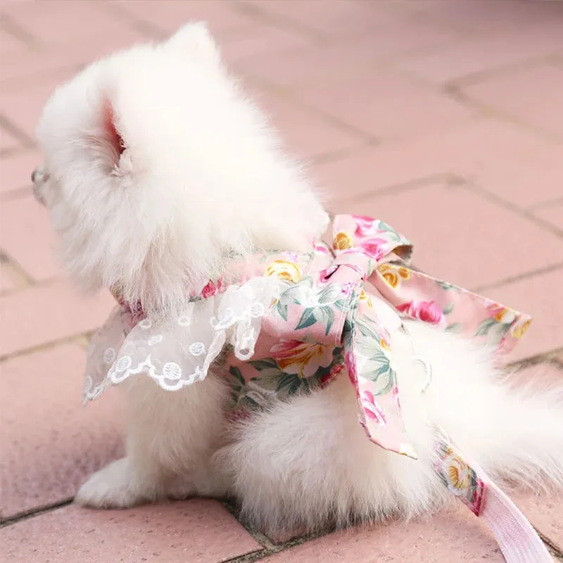 DIVA Pet -  Fun Print Bow Harness And Leash Set