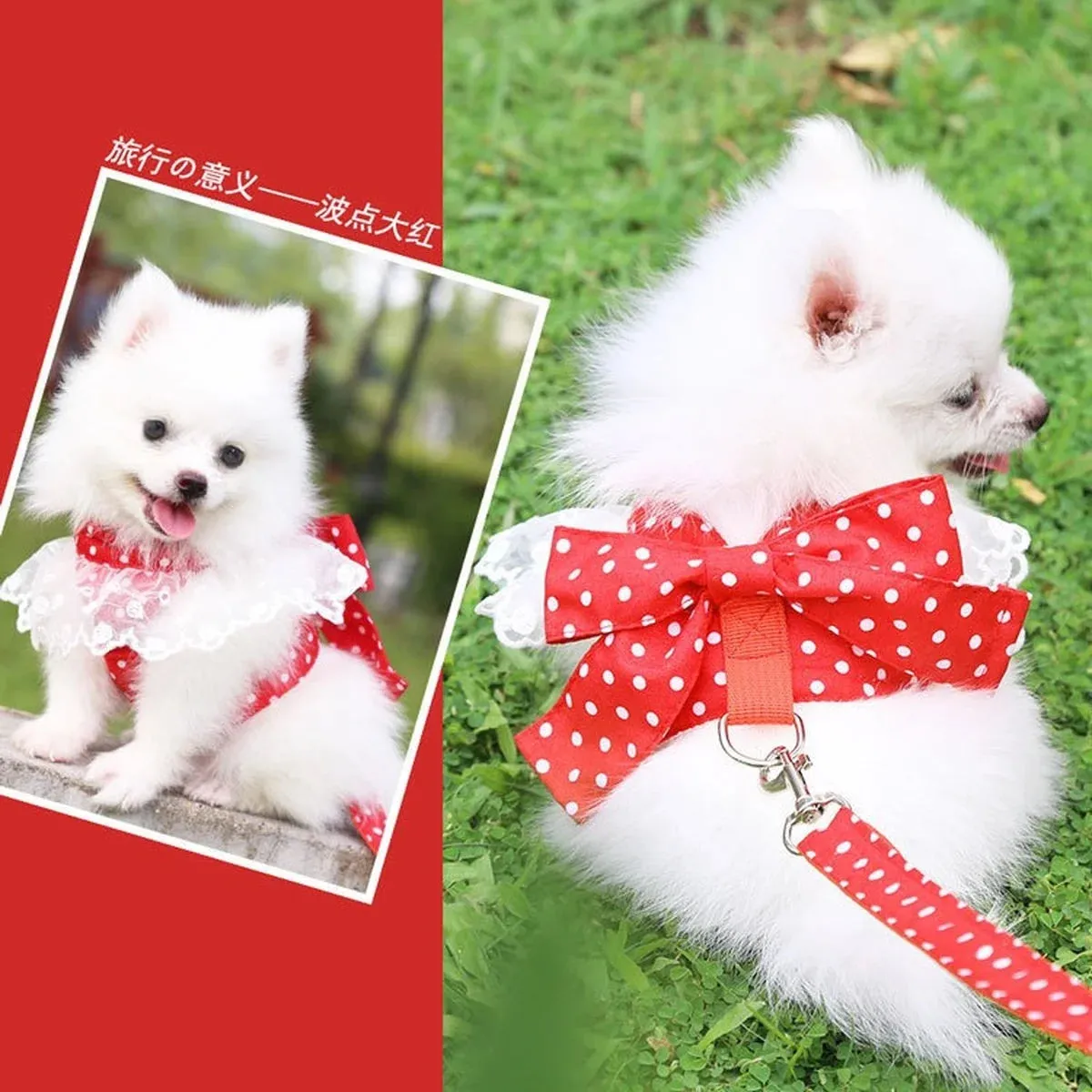 DIVA Pet -  Fun Print Bow Harness And Leash Set