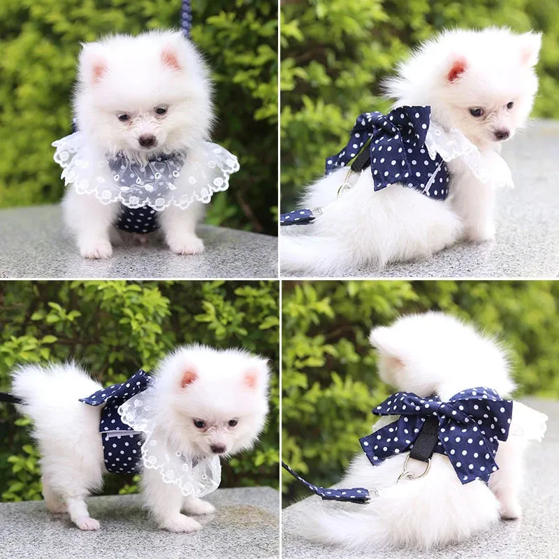 DIVA Pet -  Fun Print Bow Harness And Leash Set