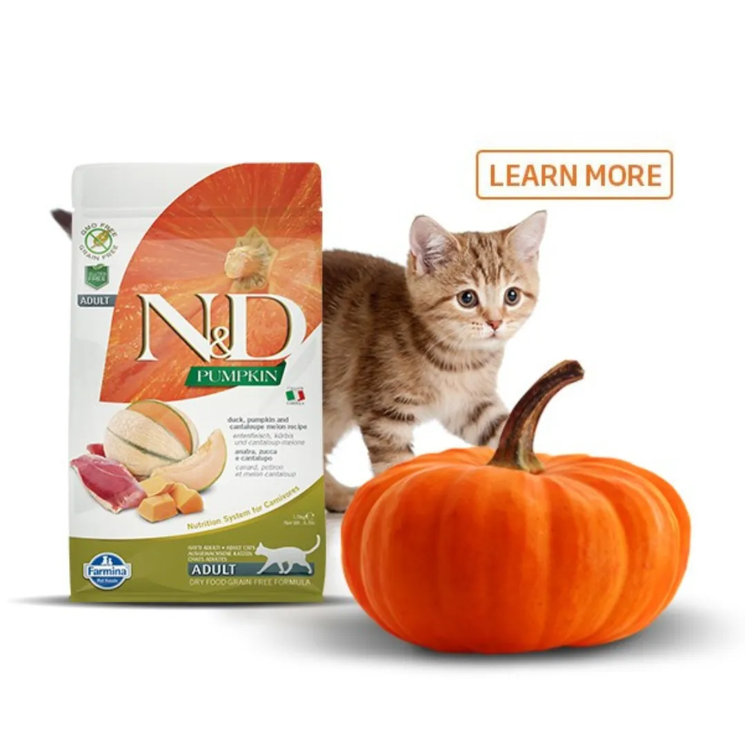 Farmina  N&D Pumpkin Cat Dry Food