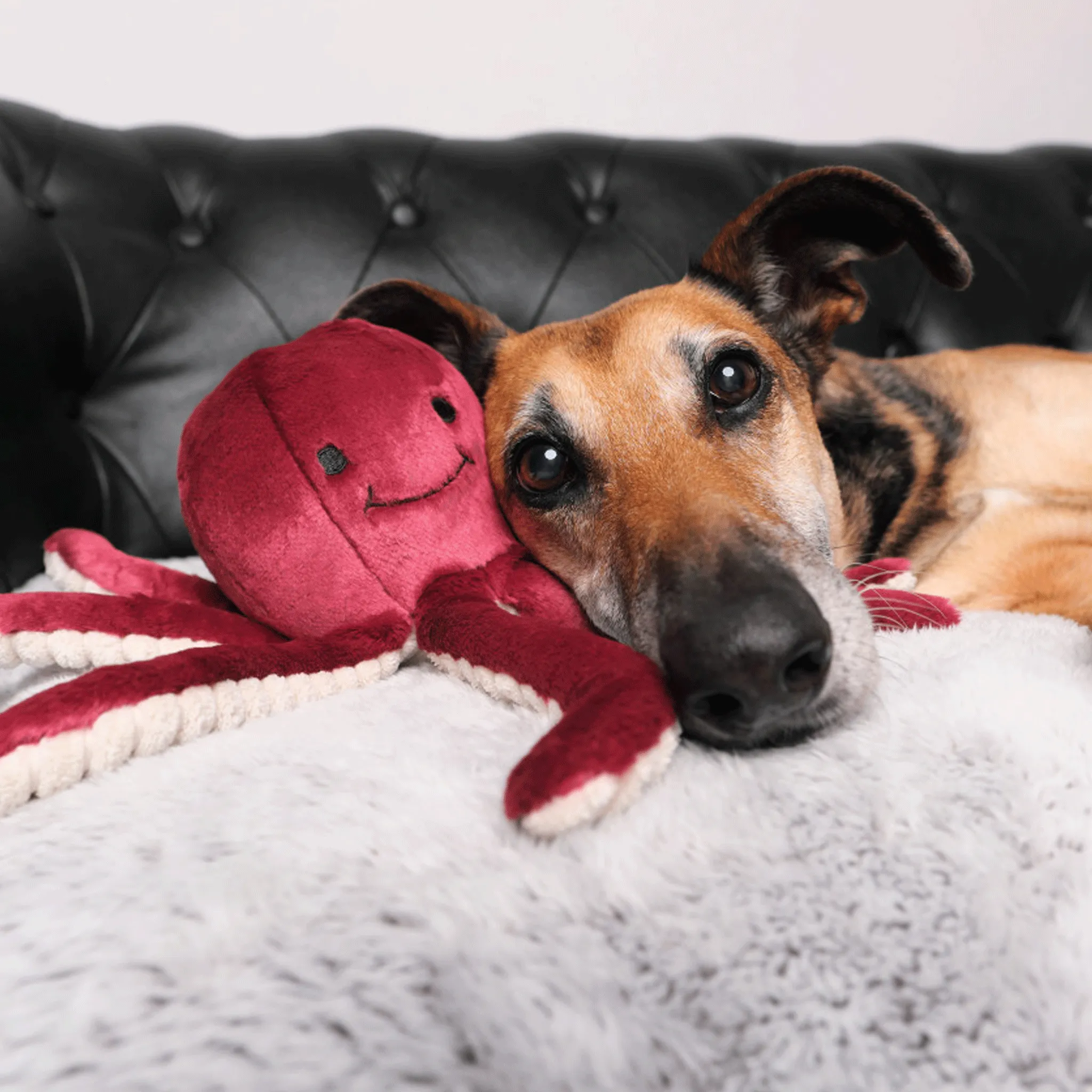 Fluff & Tuff Olympia Octopus Dog Toy