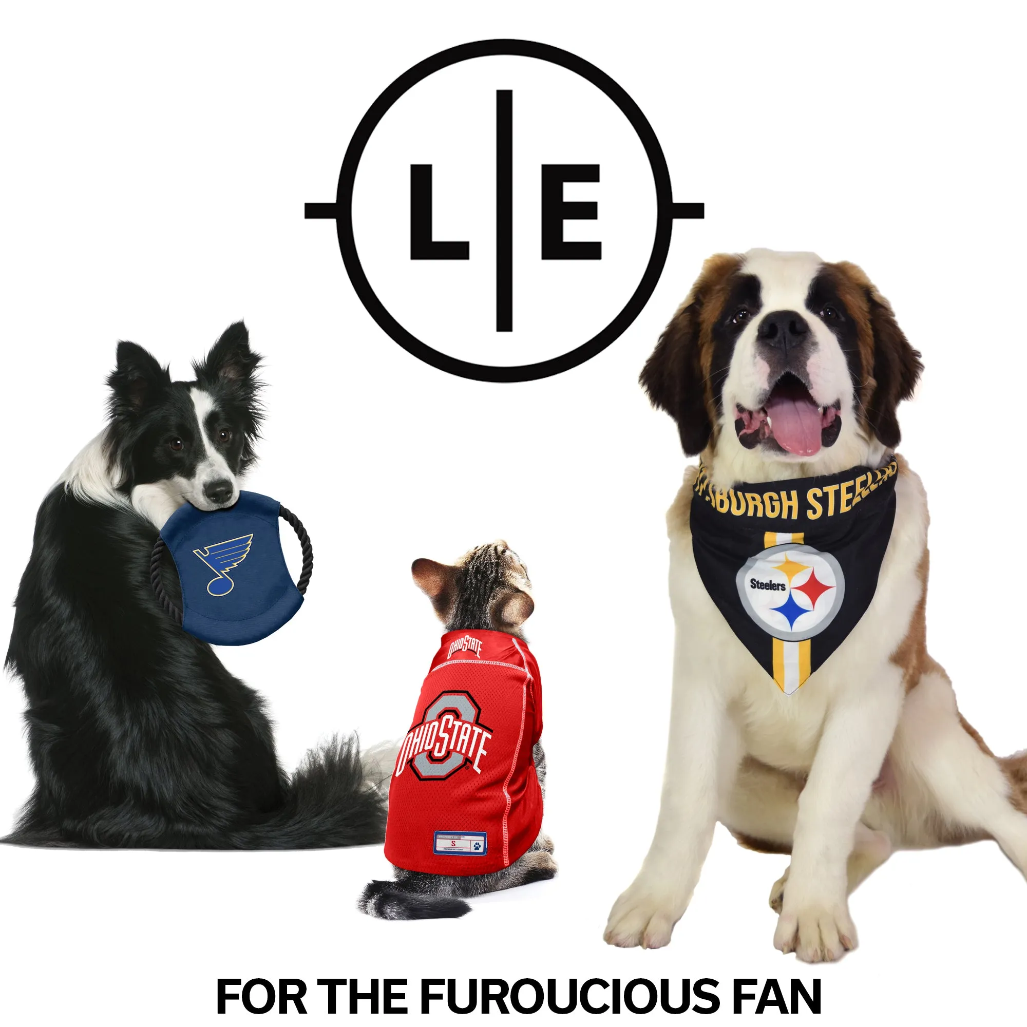 Indianapolis Colts Pet Tug Bone