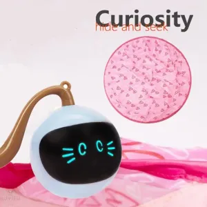 Interactive Robo Ball and Mat Tent