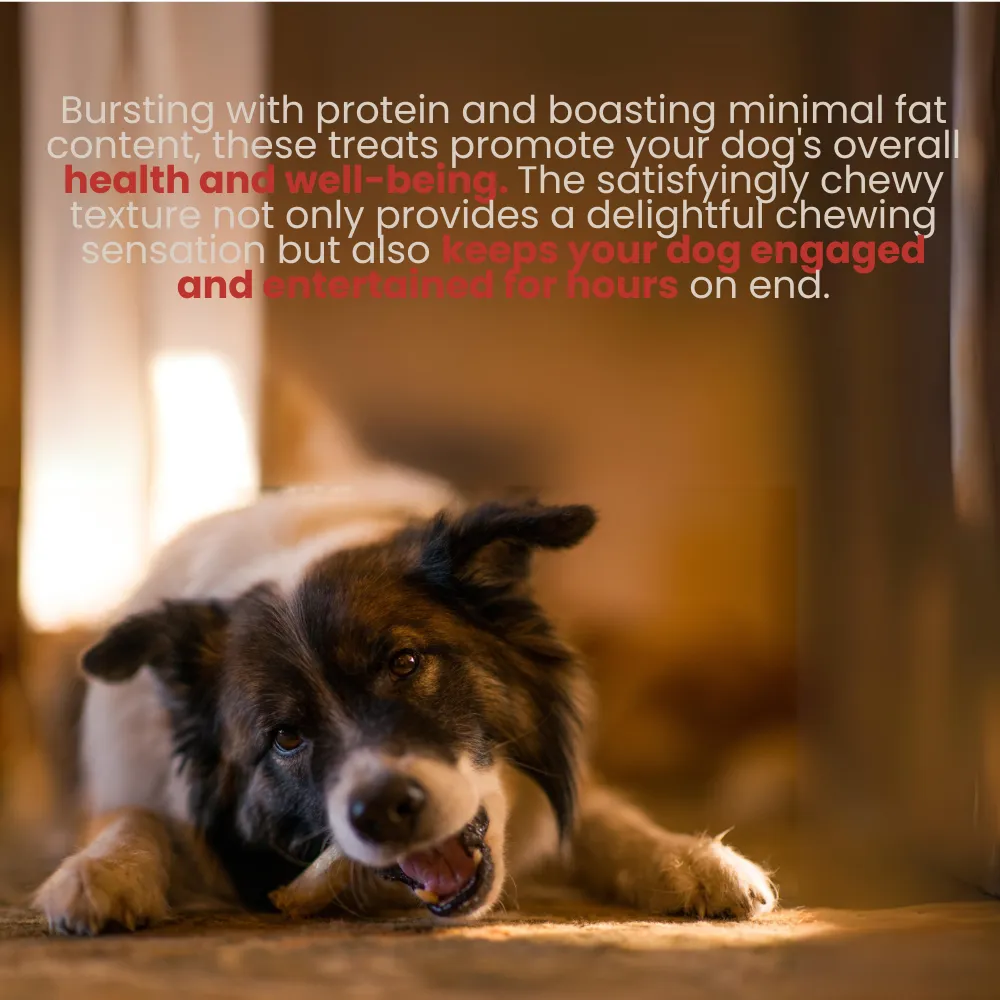 Kanu Pet Cow Ear Dog Chew Treat One Single Ingredient