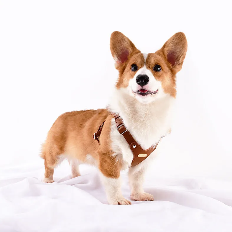 Leather Pet Dog Chest And Back