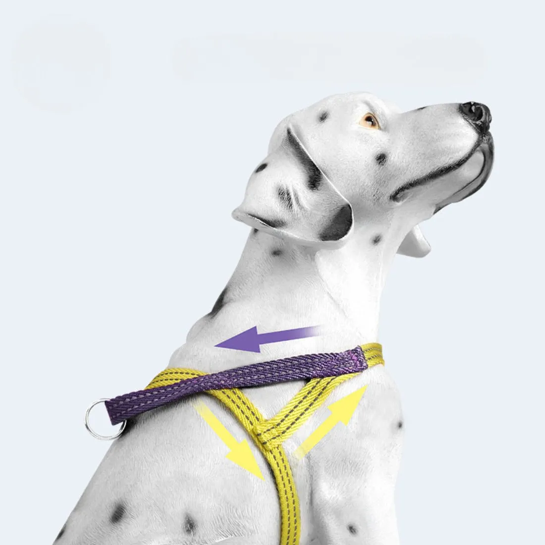 Loofie - Color-Block Pet Harness Collar