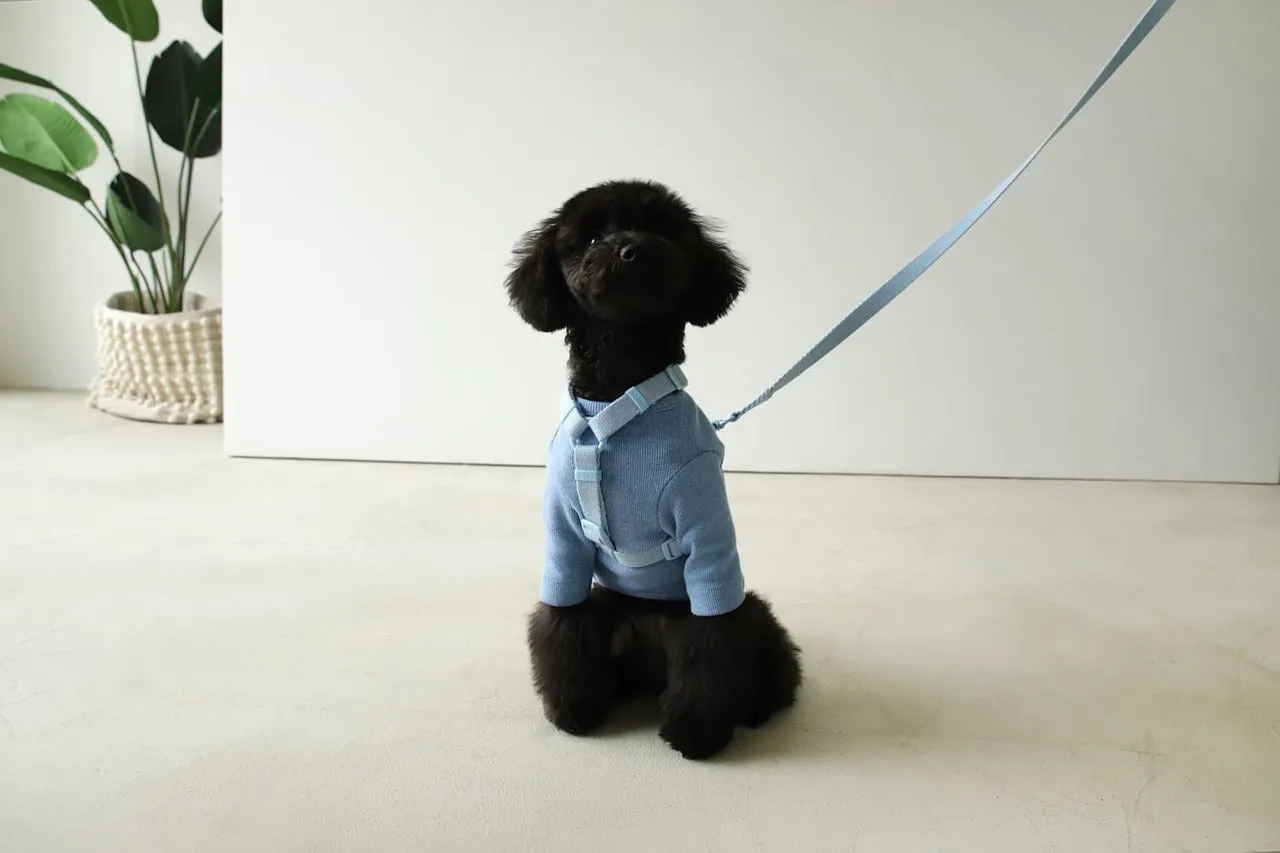 Macaron Pet Harness