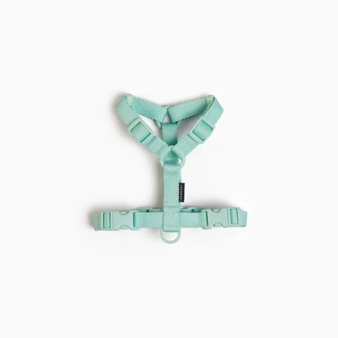 Macaron Pet Harness