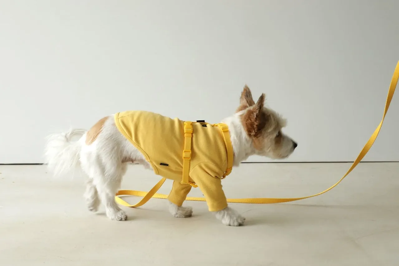 Macaron Pet Harness