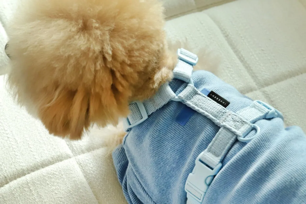 Macaron Pet Harness