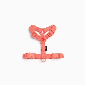 Macaron Pet Harness