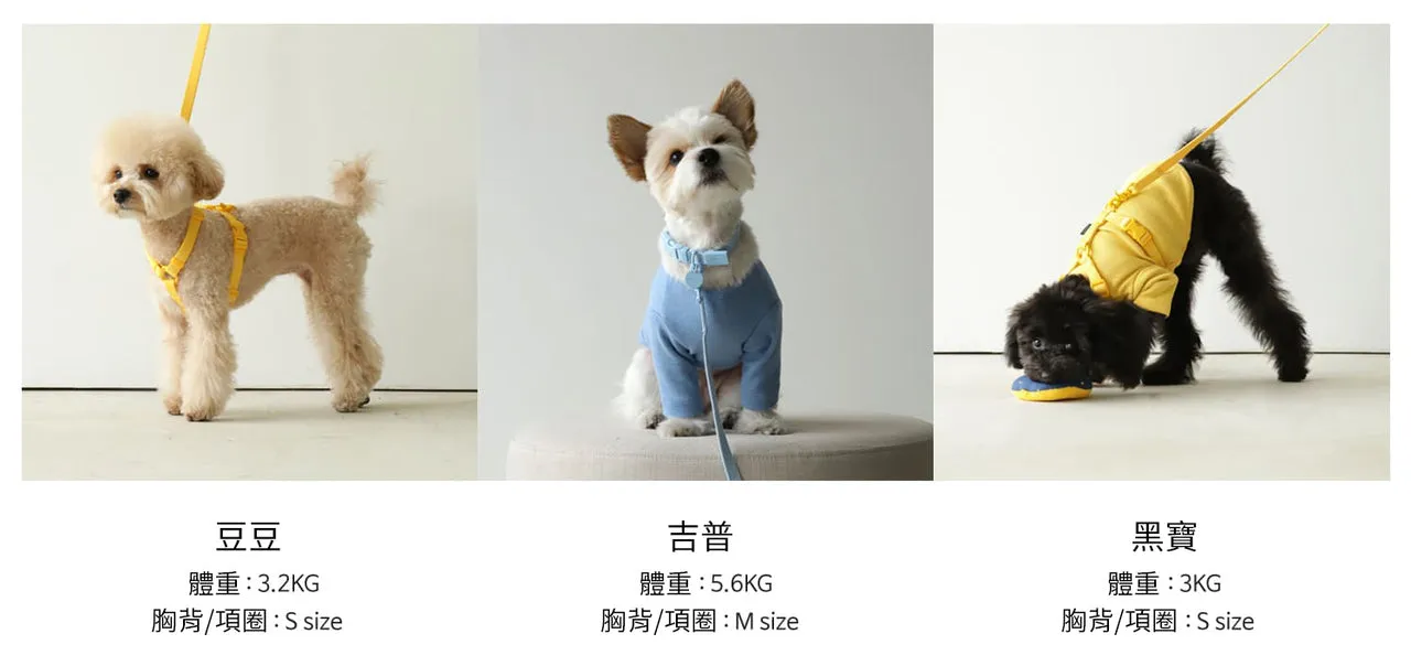 Macaron Pet Harness