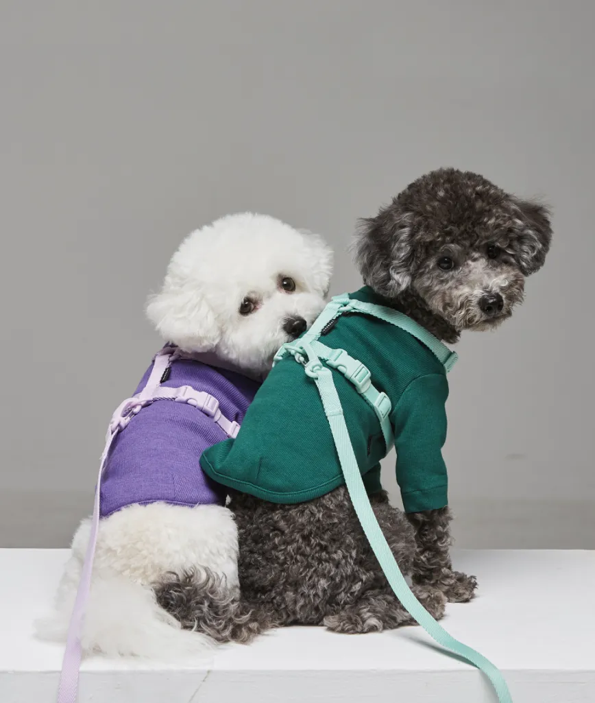 Macaron Pet Harness
