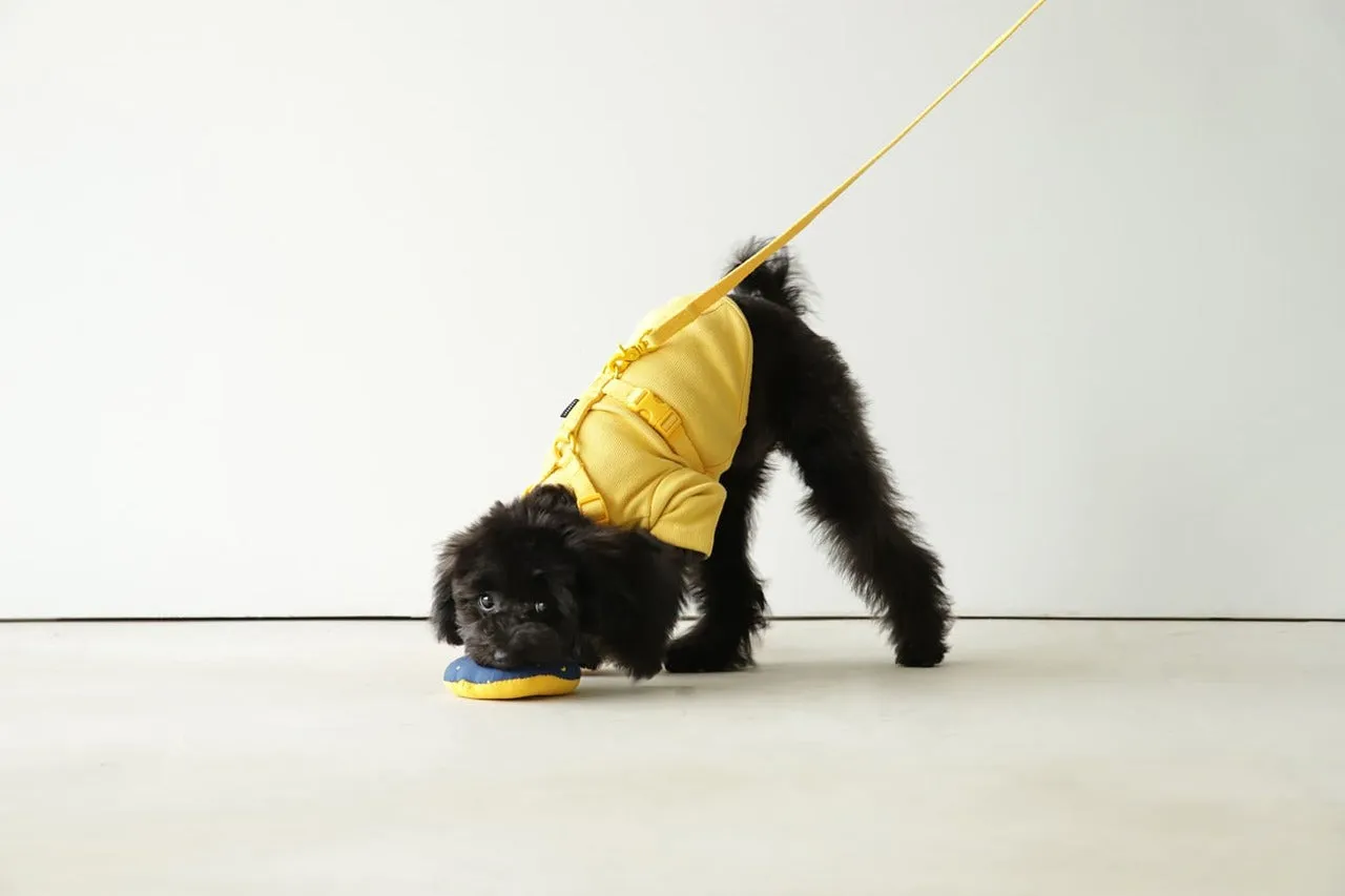 Macaron Pet Harness