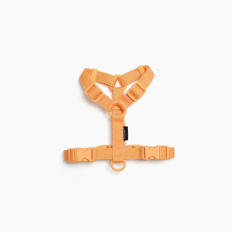 Macaron Pet Harness
