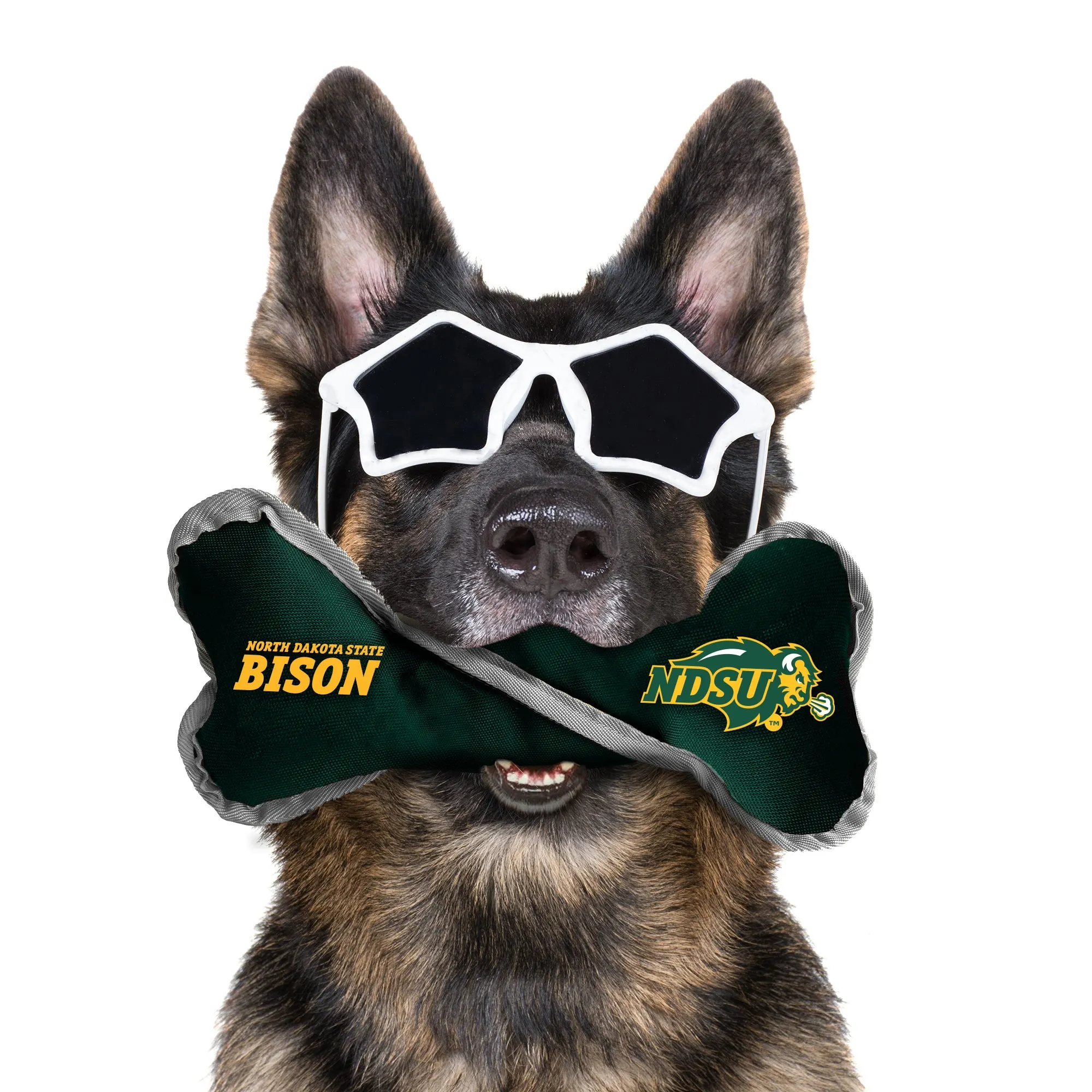 North Dakota State University Pet Tug Bone