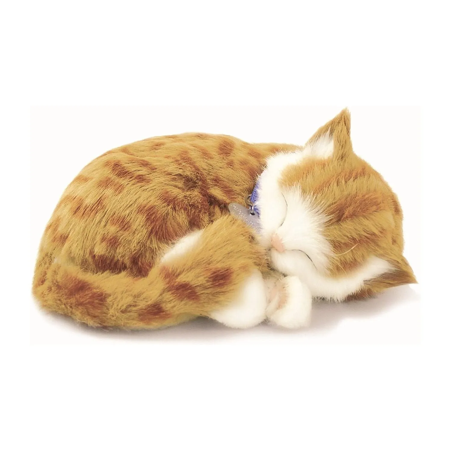 Orange Tabby Soft Bundle