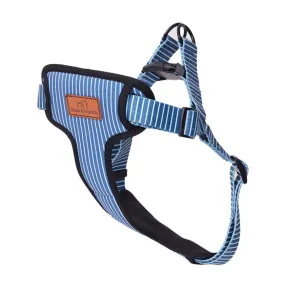 Oscar & Friends Teal Stripe Padded Dog Harness- Extra Small