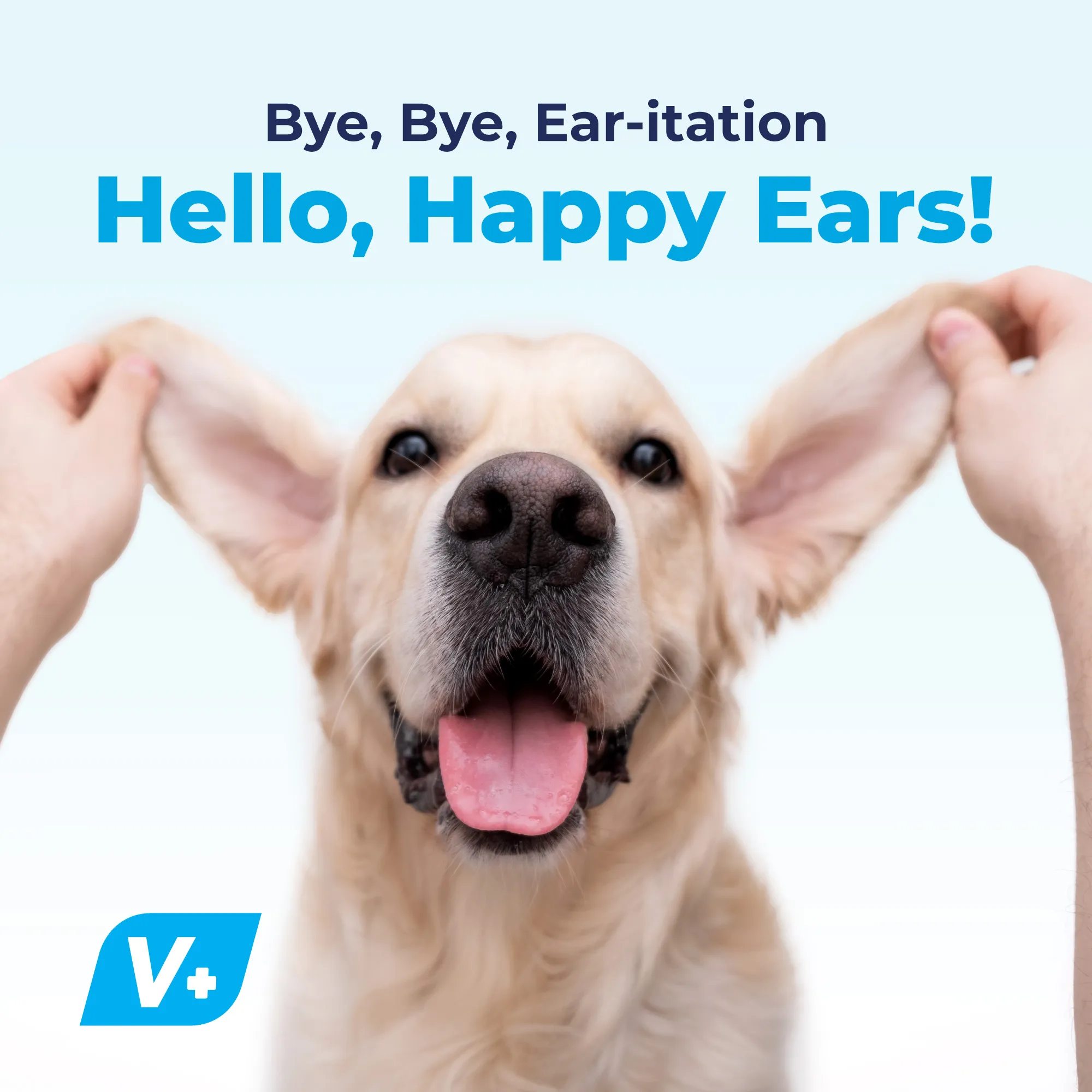 Oticbliss Vet-Strength Pet Ear Drops with MicroSilver BG™ - VetPass Free Sample