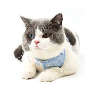 PAWS ASIA Amazon New Hot Sale Luxury Premium Embroidered Pet Harness Leash For Small Dog Cat