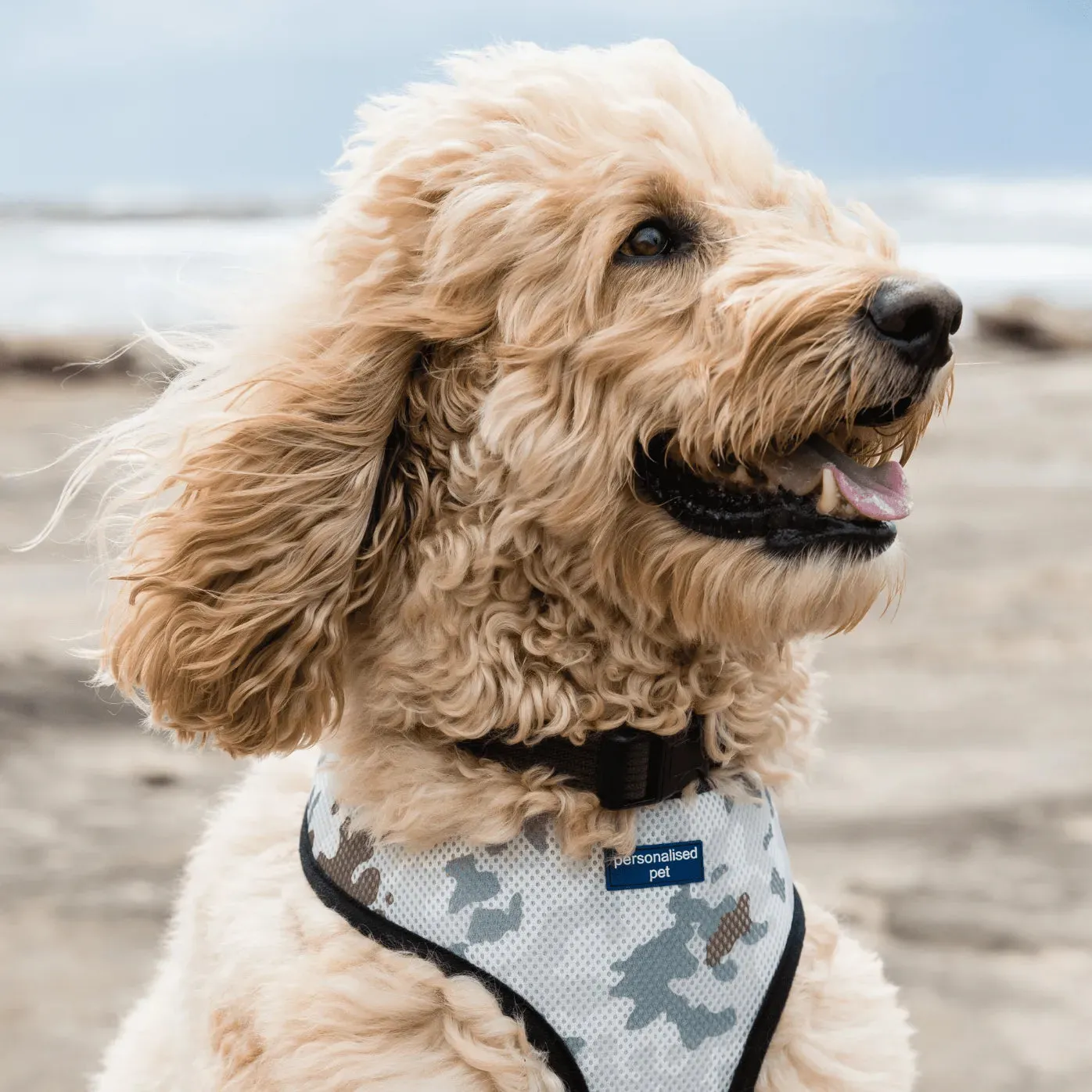 PET HARNESS Camo - Embroidered