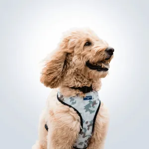 PET HARNESS Camo - Embroidered