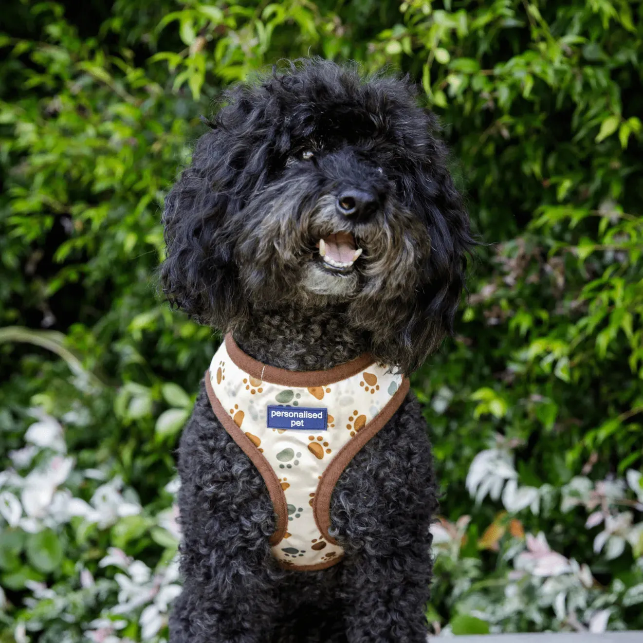 PET HARNESS Paw Print - Embroidered