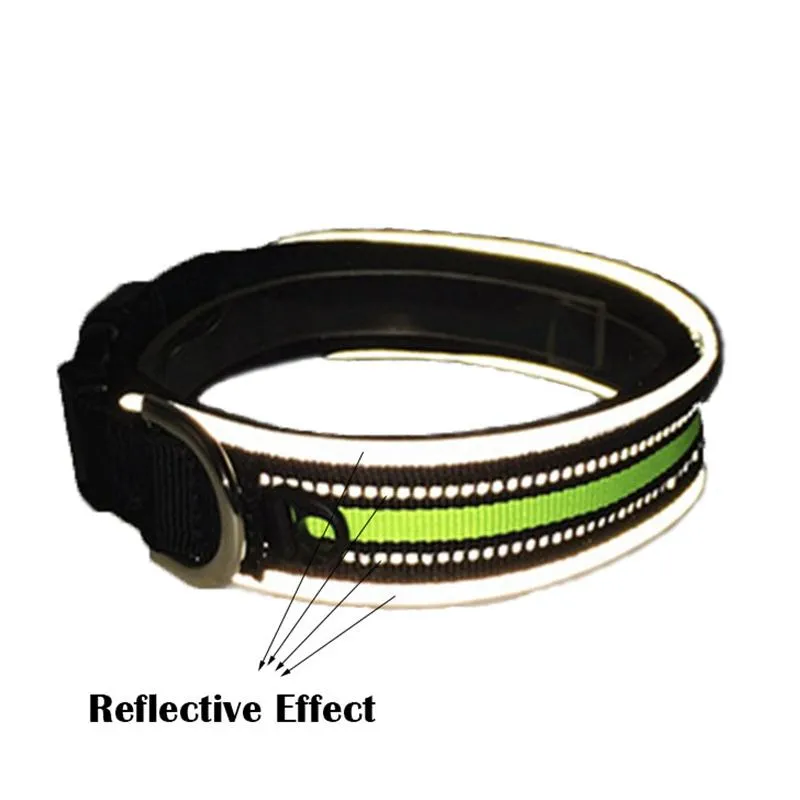 Pet ID Tag