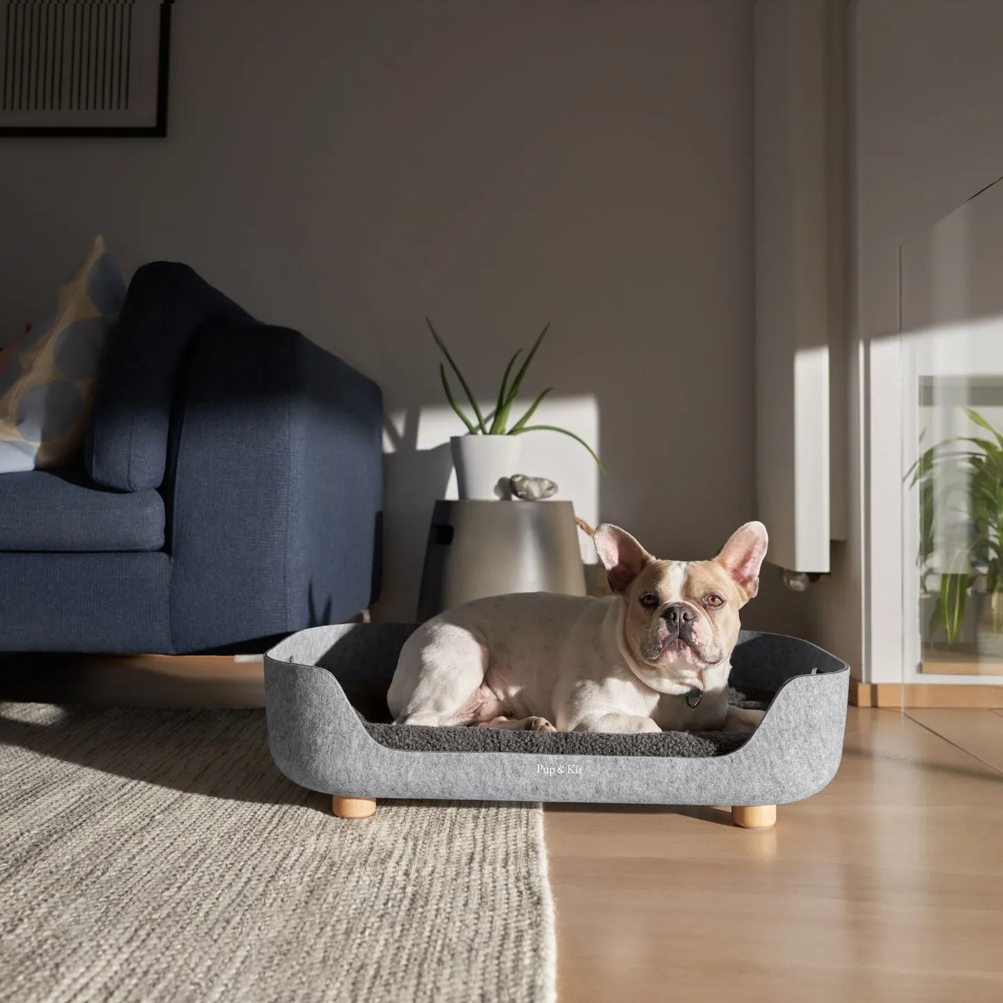 PetNest Grey & Raised Stand