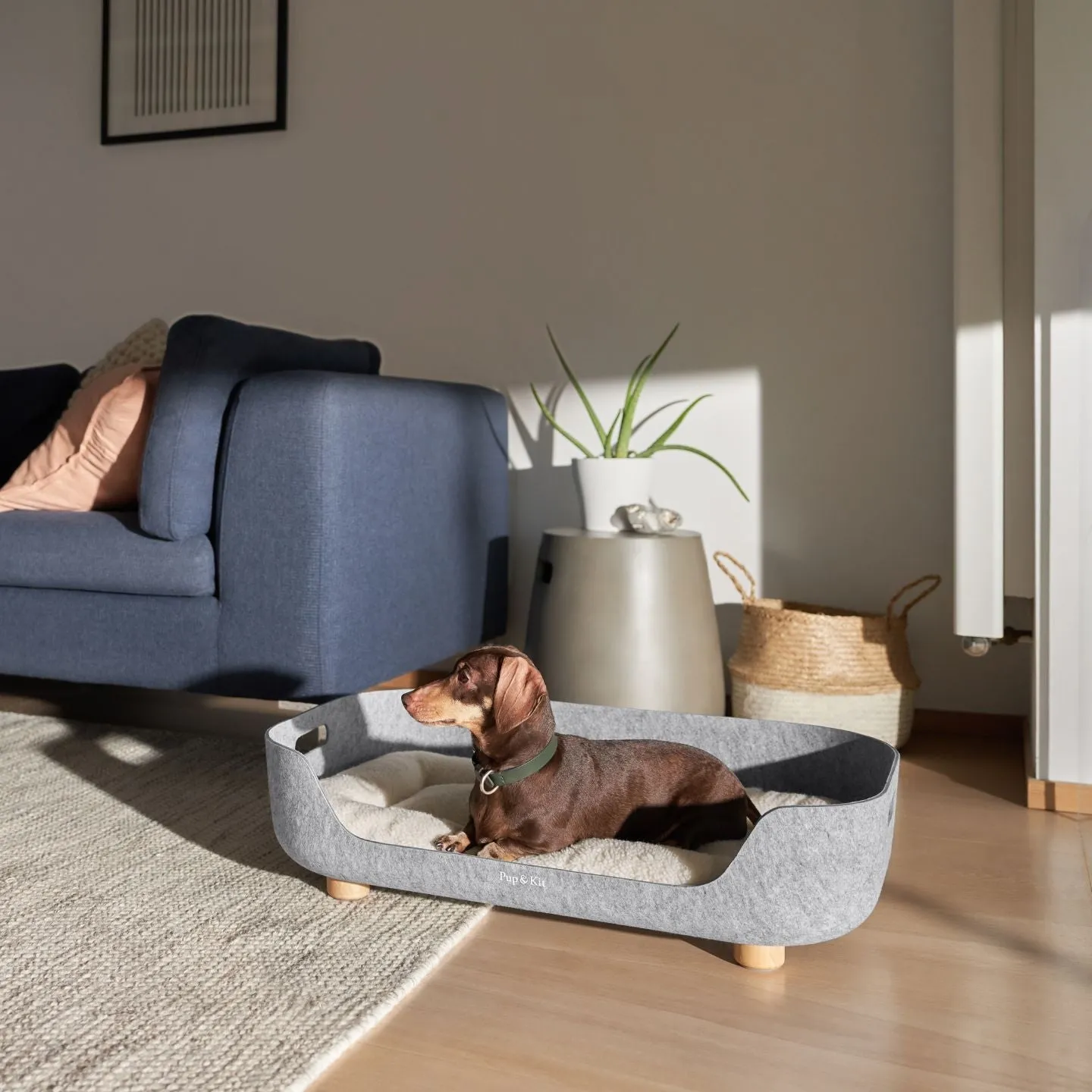 PetNest Grey & Raised Stand