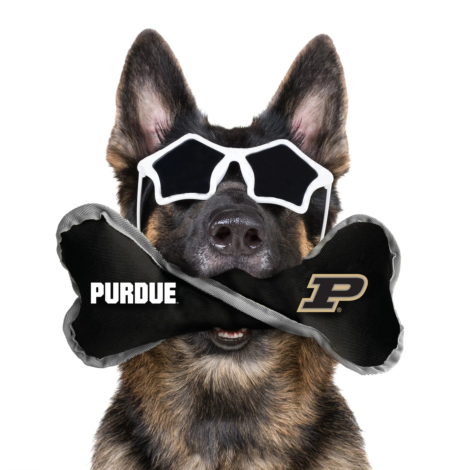 Purdue University Pet Tug Bone