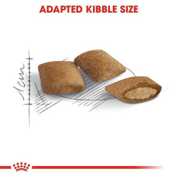 Royal Canin | Feline Health Nutrition | Dry Cat Food | Senior Ageing 12 