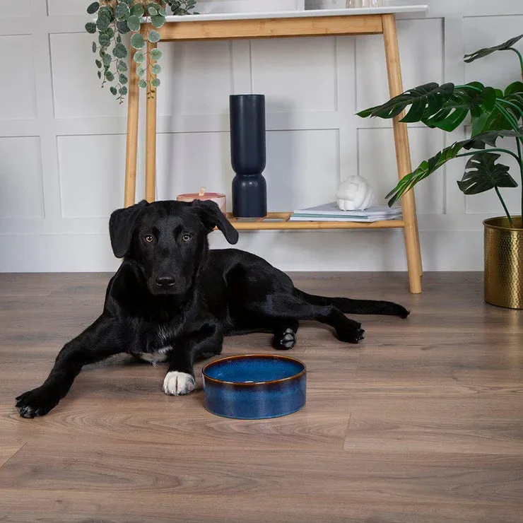 Scruffs Reactive Glaze Dog Food Bowl