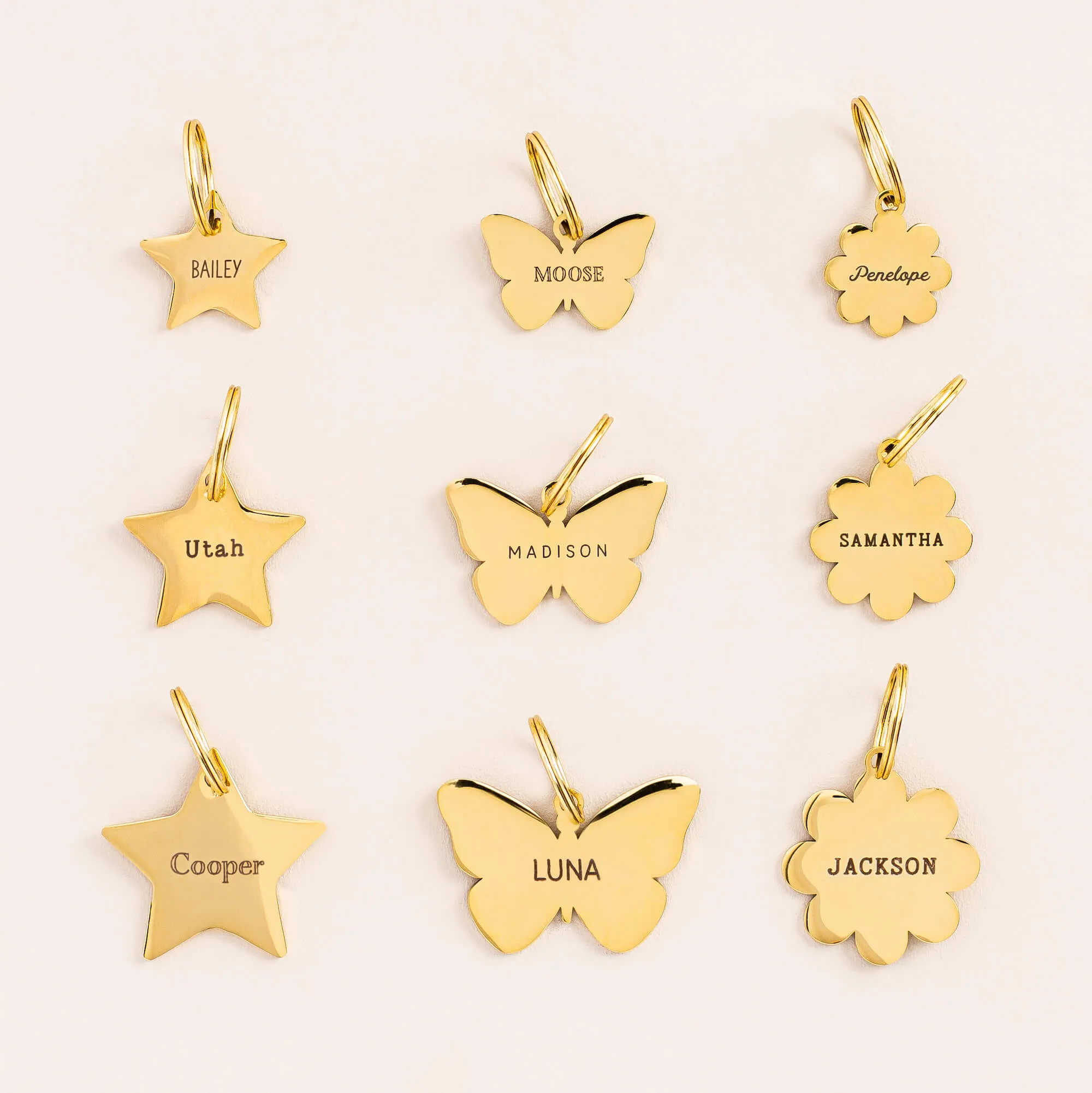 Star Pet ID Tag