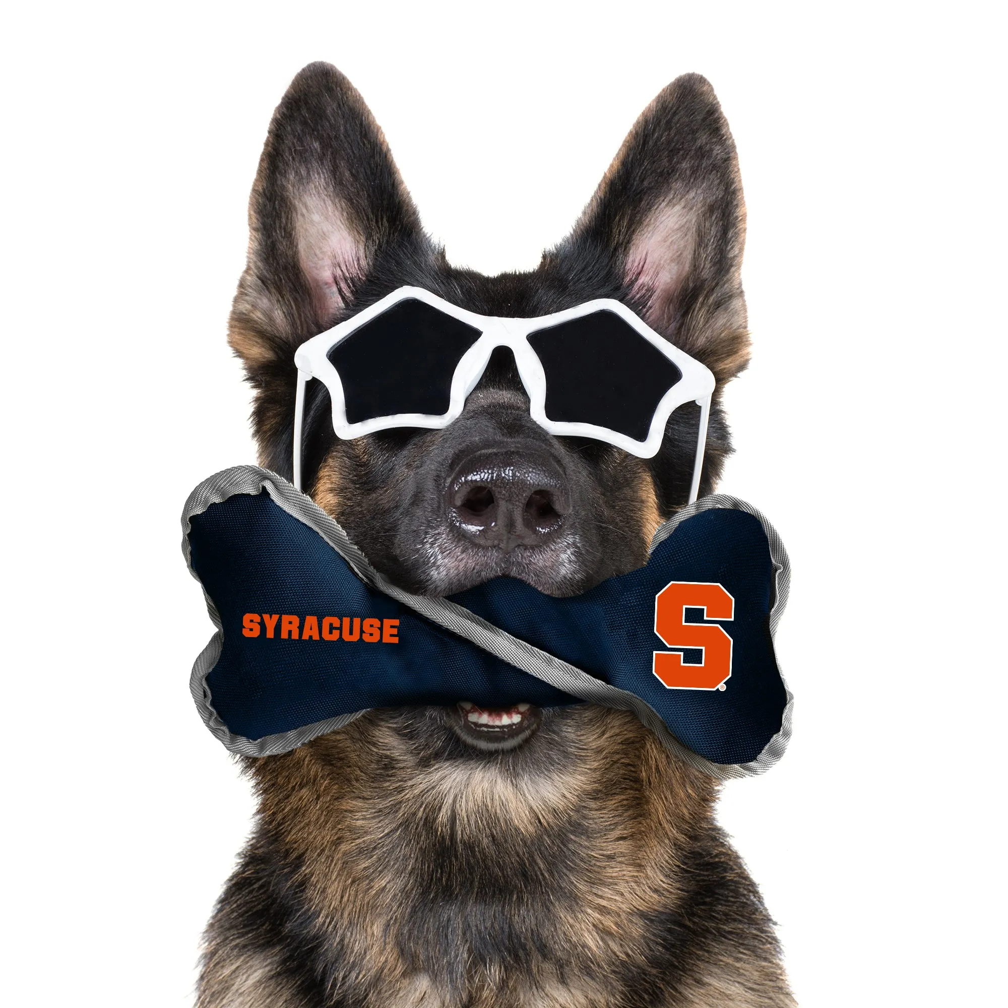 Syracuse University Pet Tug Bone