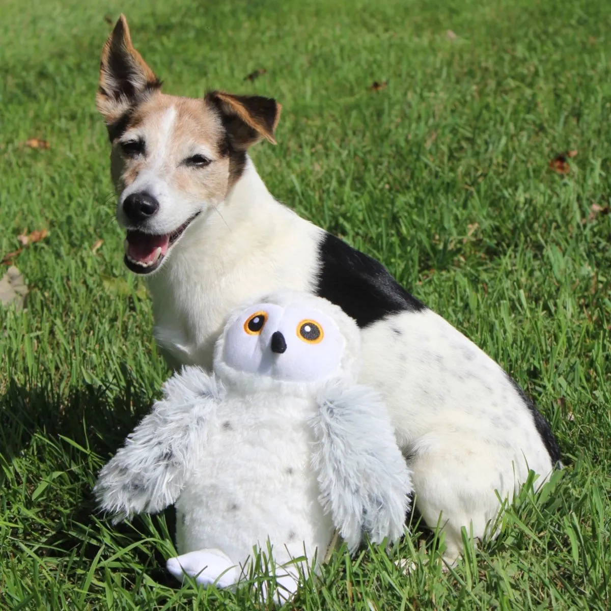 Tall Tails Dog Toy Animated Snow Owl